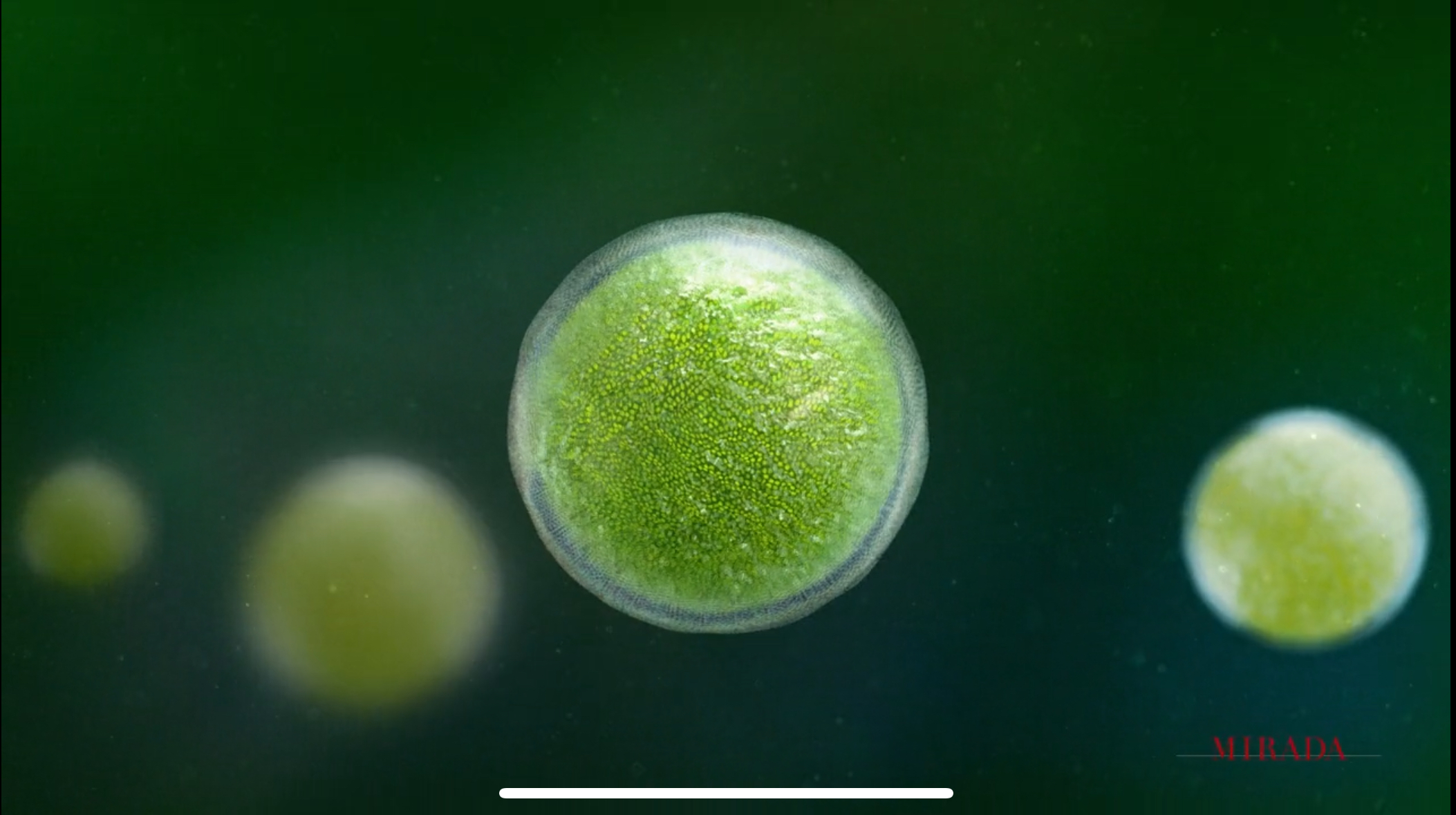 Exxon GrowingFuel thumbnail